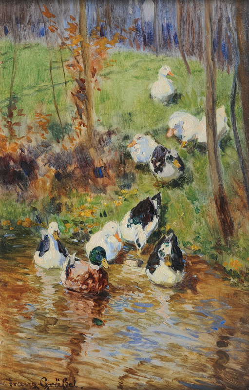 Ducks