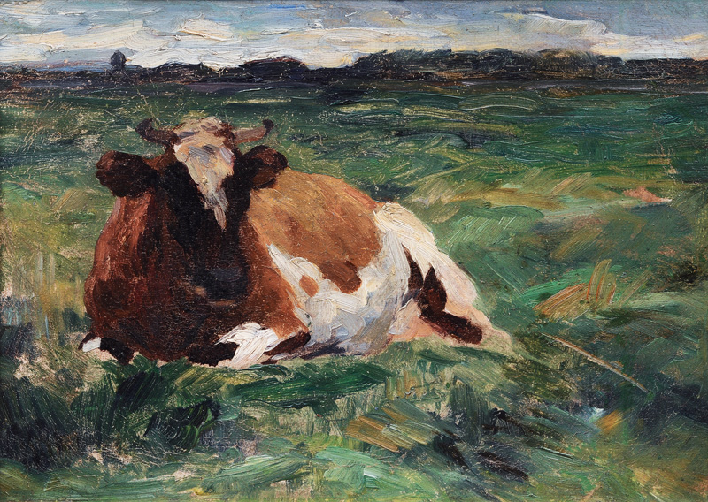 Resting Cow