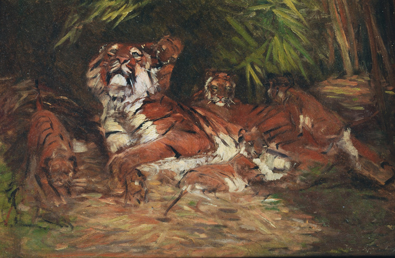 Tigerin mit ihren Jungen