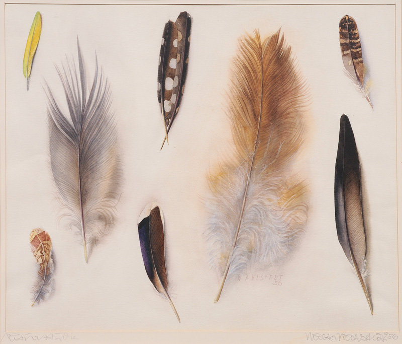 Feathers