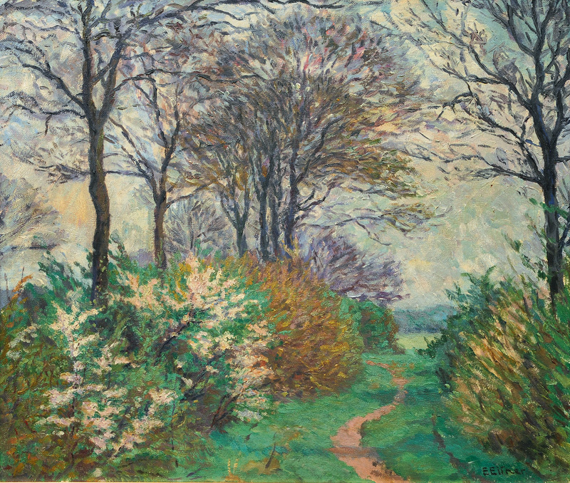 Forest Path in Early Spring