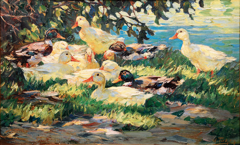 Resting Ducks