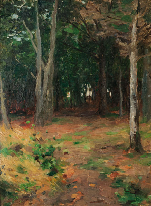 A Clearing in the Wood