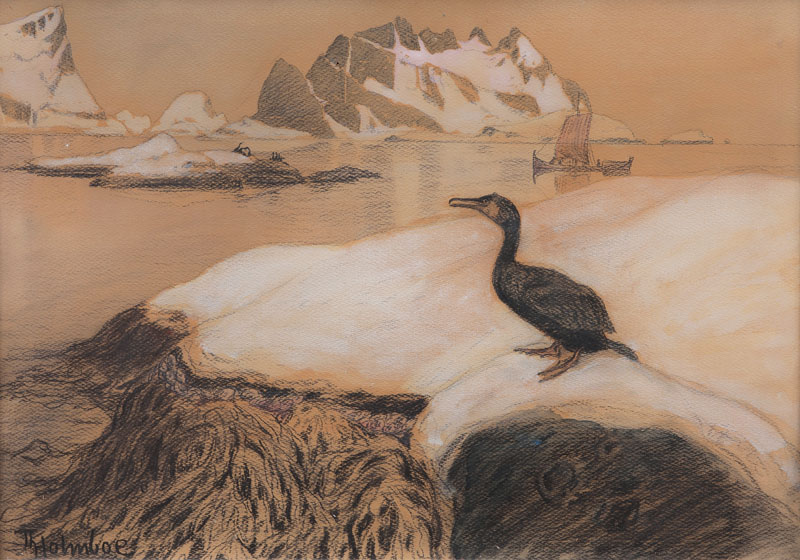 Polarlandschaft mit Kormoran