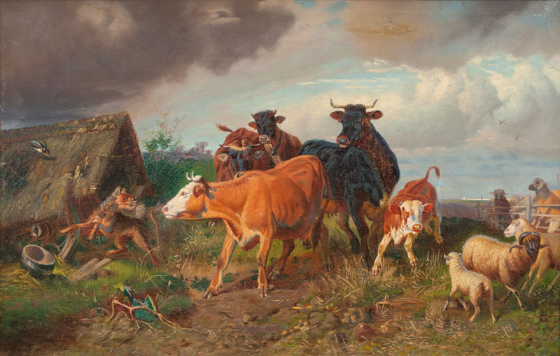 Rinder und Schafe vor einer Hundehütte