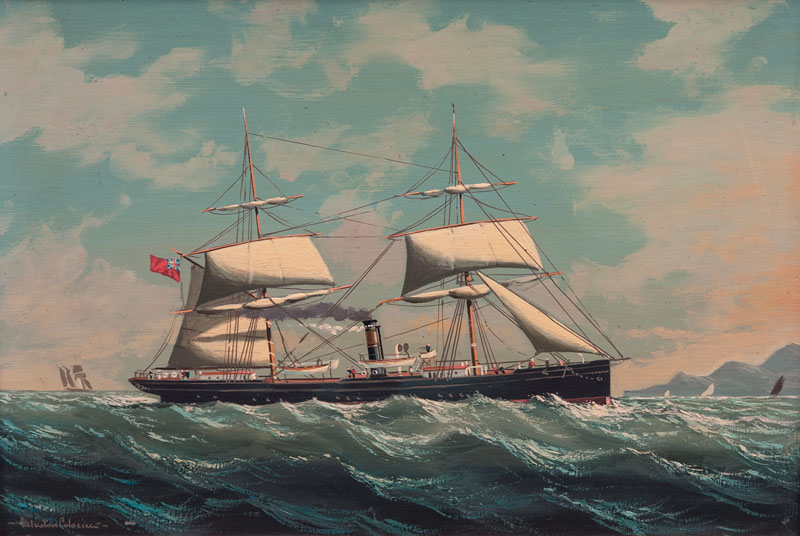 An English Steam Ship