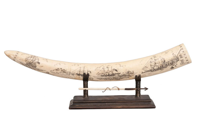 A pair of Scrimshaw walrusk tusks