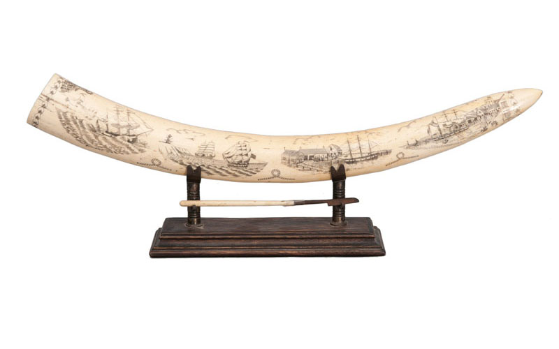 A pair of Scrimshaw walrusk tusks - image 2