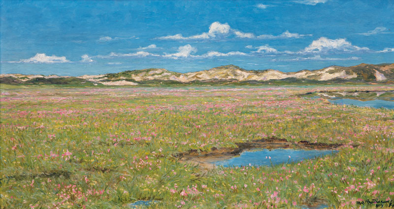 Wattwiesen in Sommerblüte auf Sylt