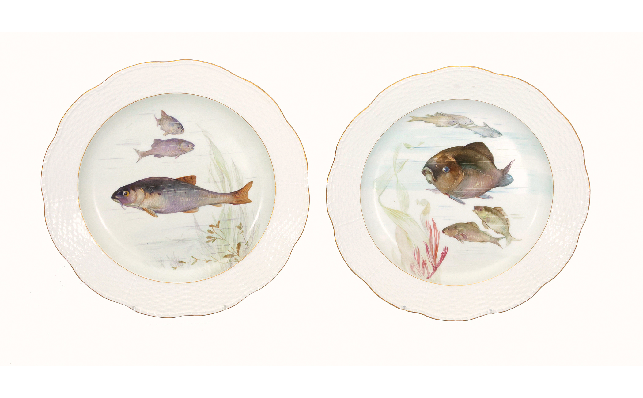 A pair of plates with fishes