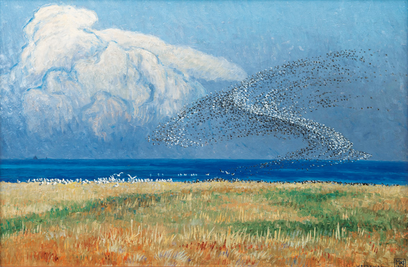 Swarm of Birds over the Tideland of Sylt