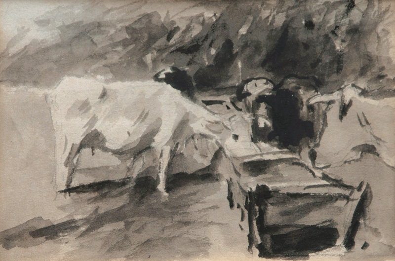 Cows