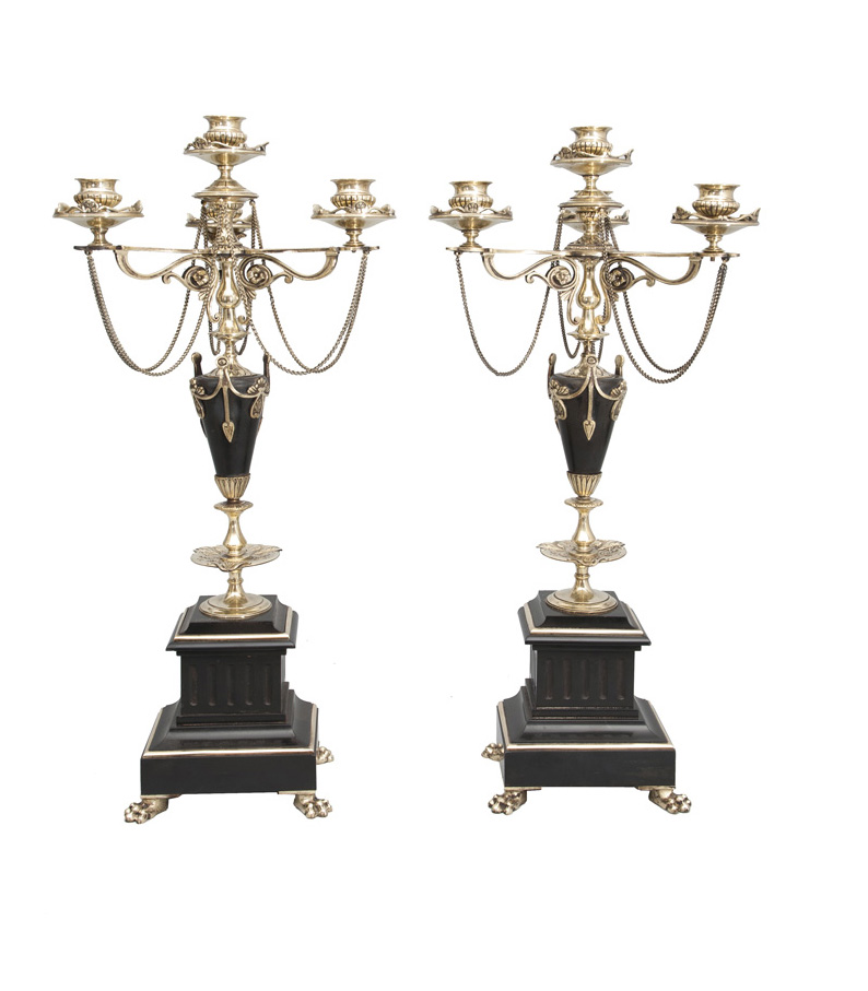 A pair of opulent candelabras