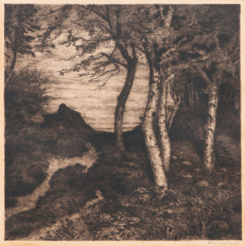 Hans am Ende - Kate und Birken im Moor Kate und Birken im Moor