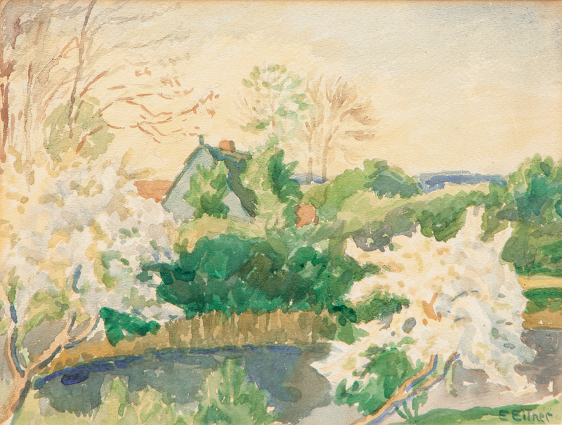 Garden in Spring