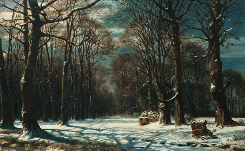 Night in a winterly Forest