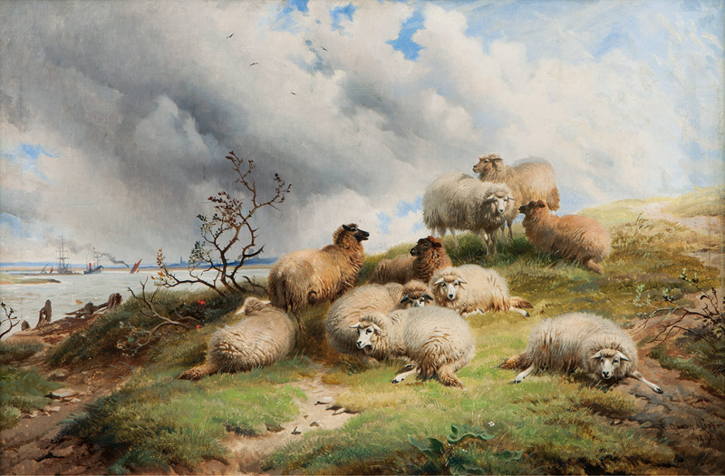 Sheep on a Dyke