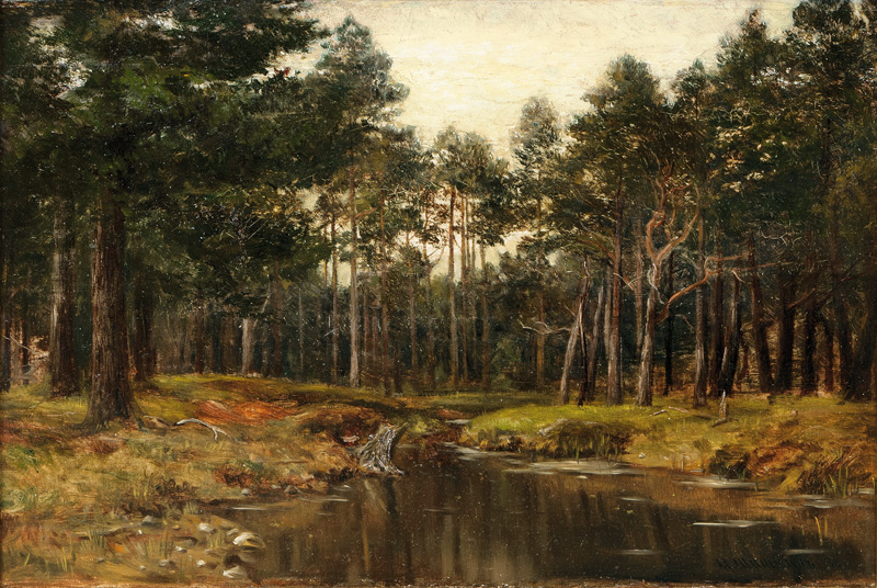 Pond in a Pine Wood