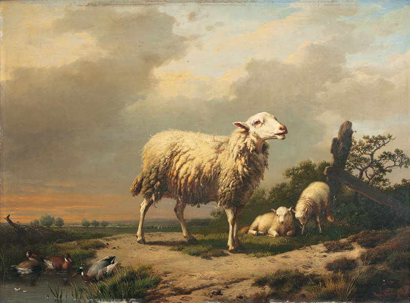 Schaf mit Lämmern und Enten