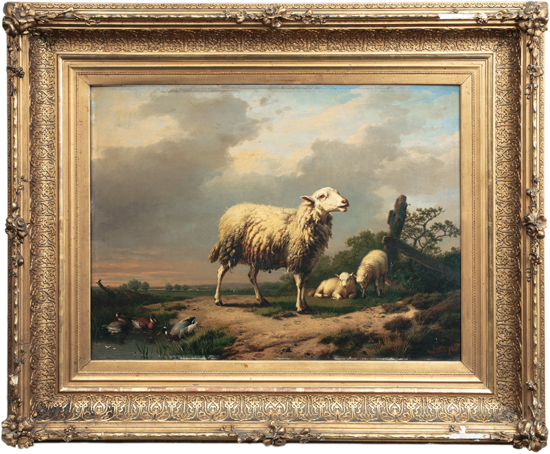Sheep with Lambs and Ducks - image 2