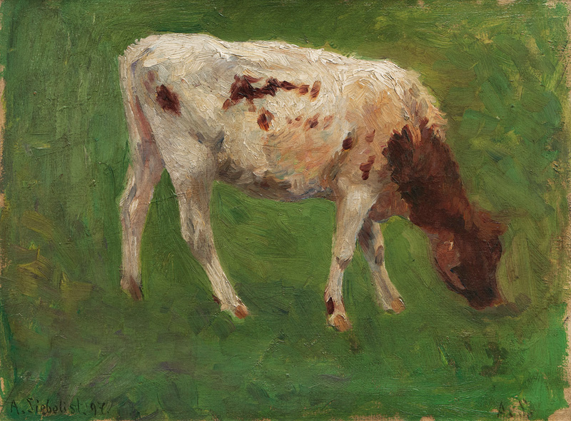 Grazing Calf