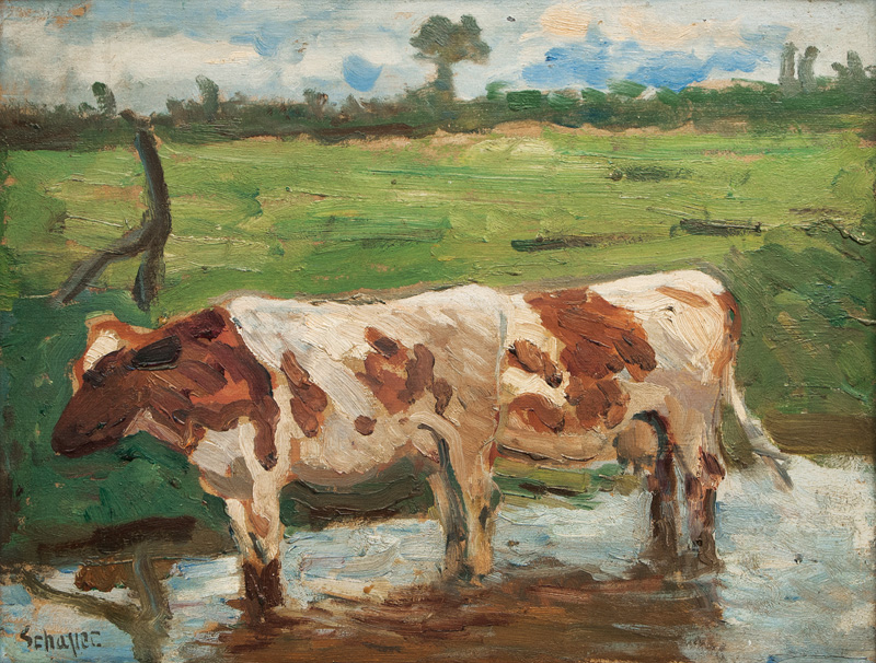 Cows by the Water