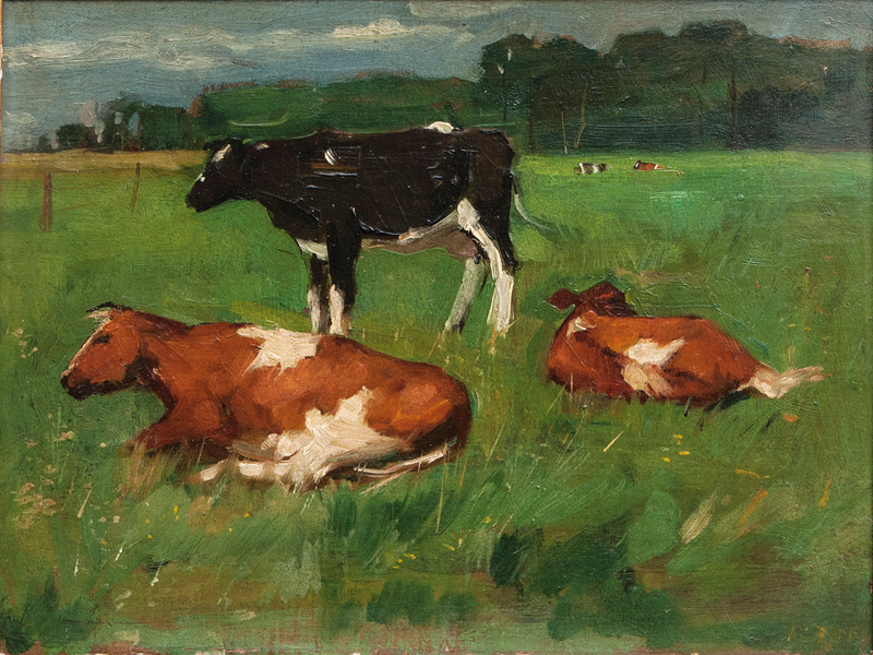 Cows on a Meadow