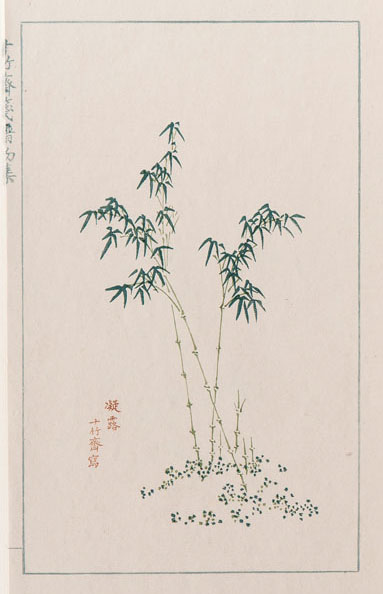 An edition of 'Shízhúzai jianpu' (十竹斎箋譜) - image 2