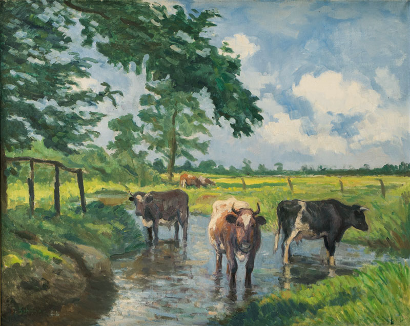 Cows in a Creek