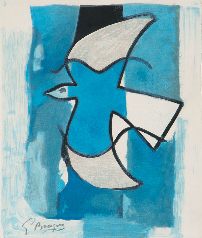 L'oiseau bleu et gris