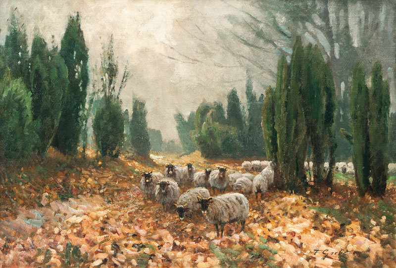 Schafe in der Heide