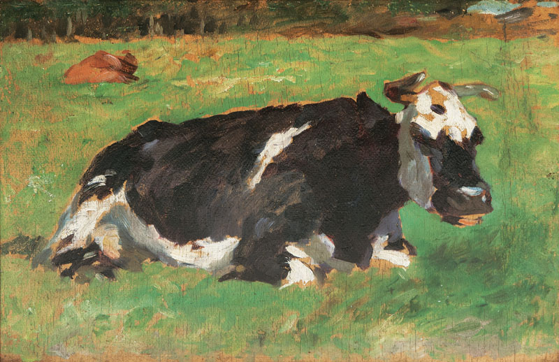 Resting cow