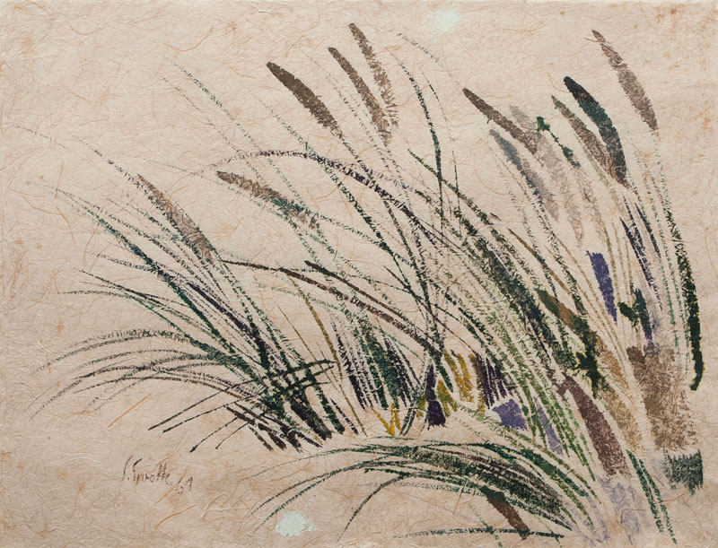 Grass in the Wind