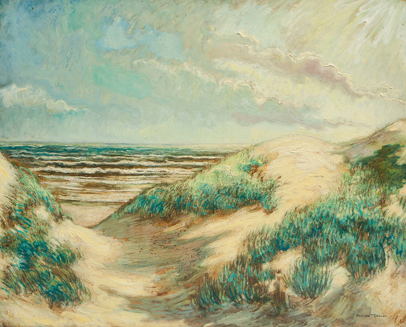 Harald Illies - Dunes Dunes