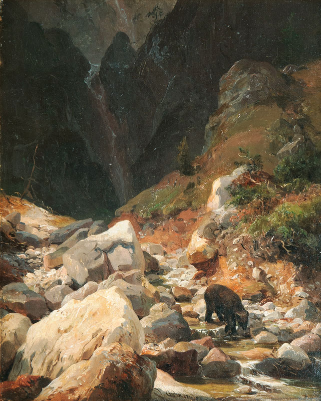 Paar Gegenstücke: Bär und Rotwild in den Tiroler Alpen - Bild 2