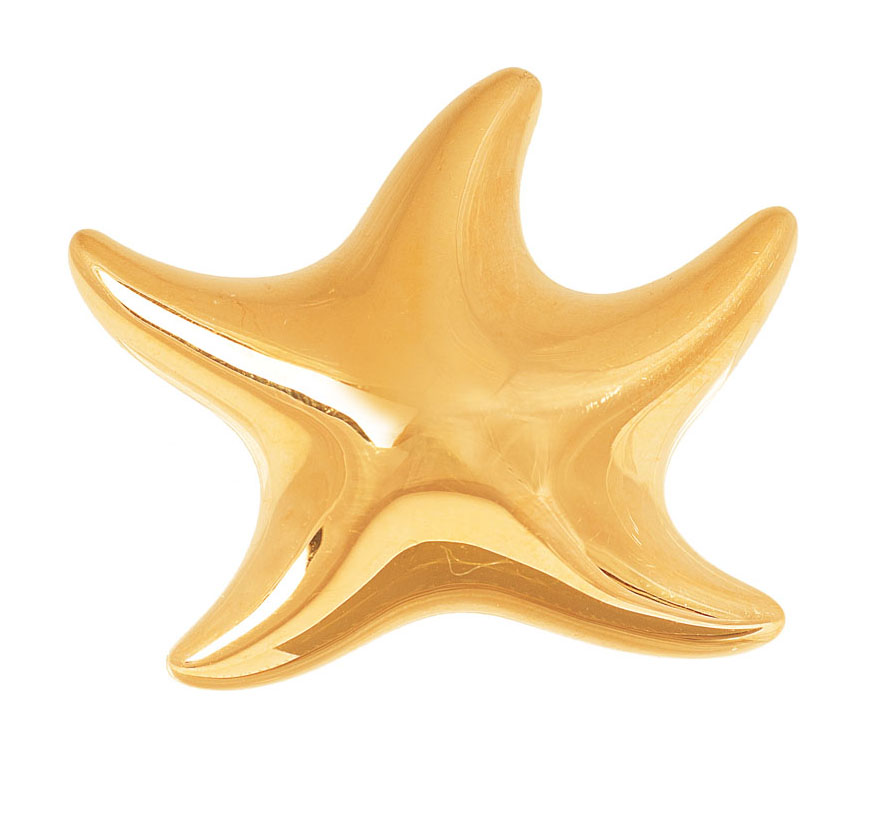 A golden brooch 'Starfish'