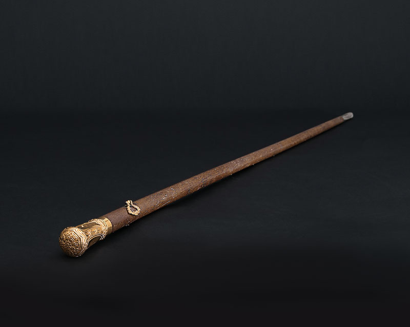 A rhinoceros horn walking stick