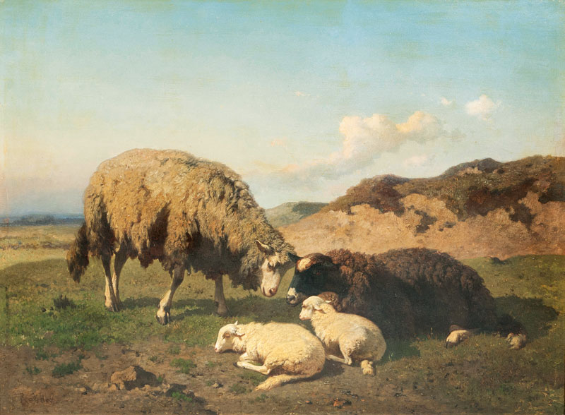 Zwei Schafe mit Lämmern