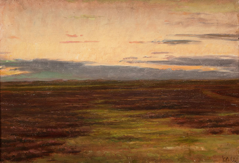 Heath near Skagen