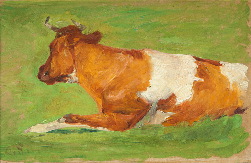 Resting Cow