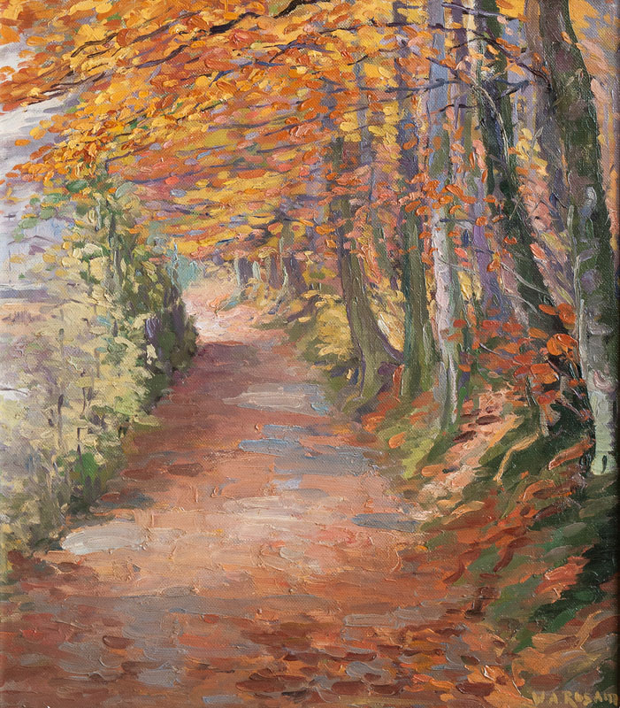 Sonniger Waldweg