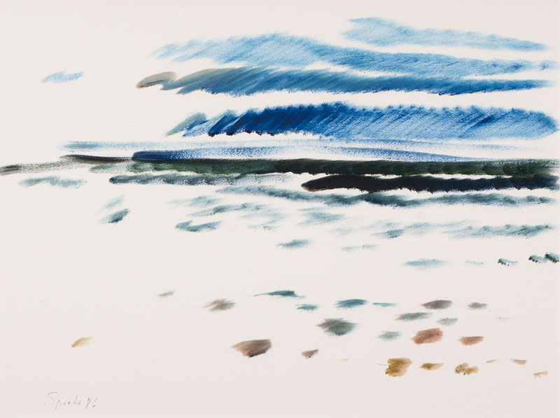 In the Mudlands of the North Sea