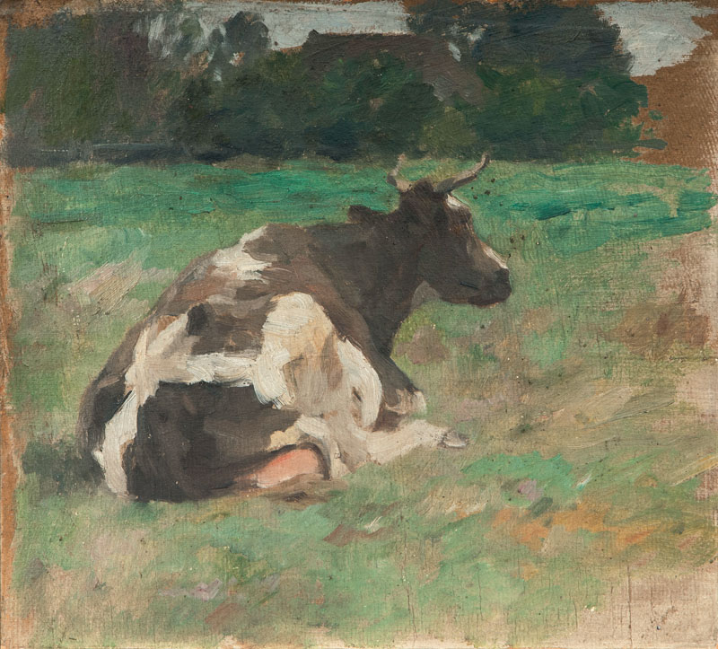 Resting Cow