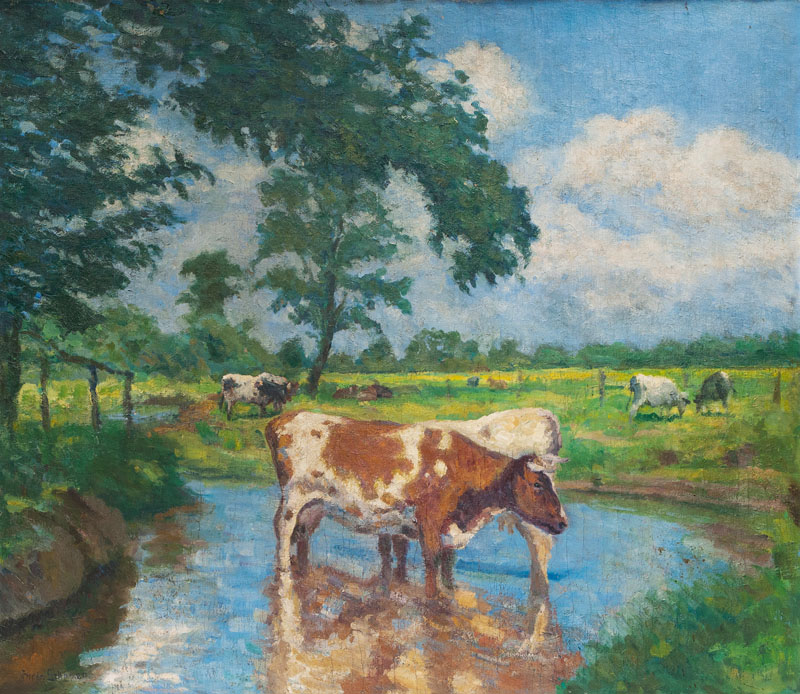 Cows in a Creek