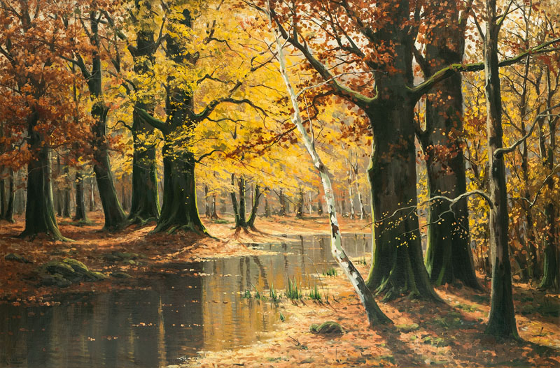 Creek in an Autumnal Wood