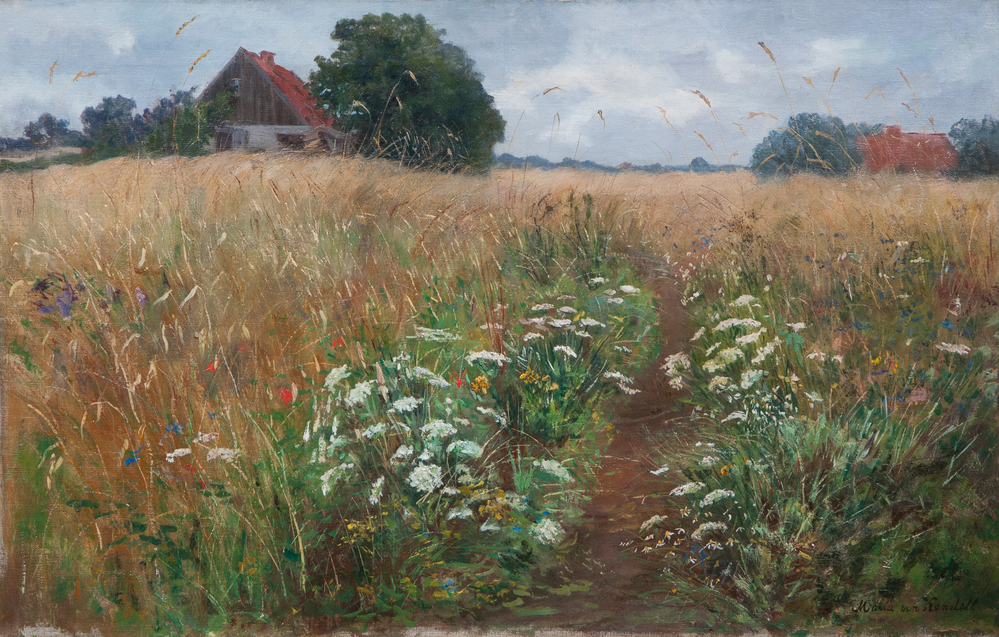 Meadow in Summer