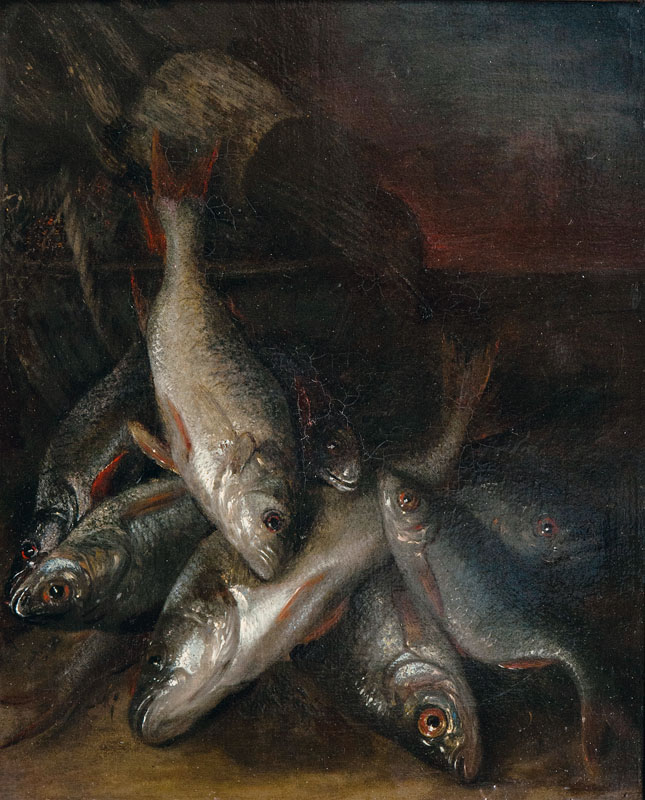 Fish Still Life