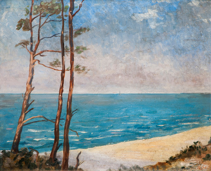 Baltic Sea near Ahrenshoop