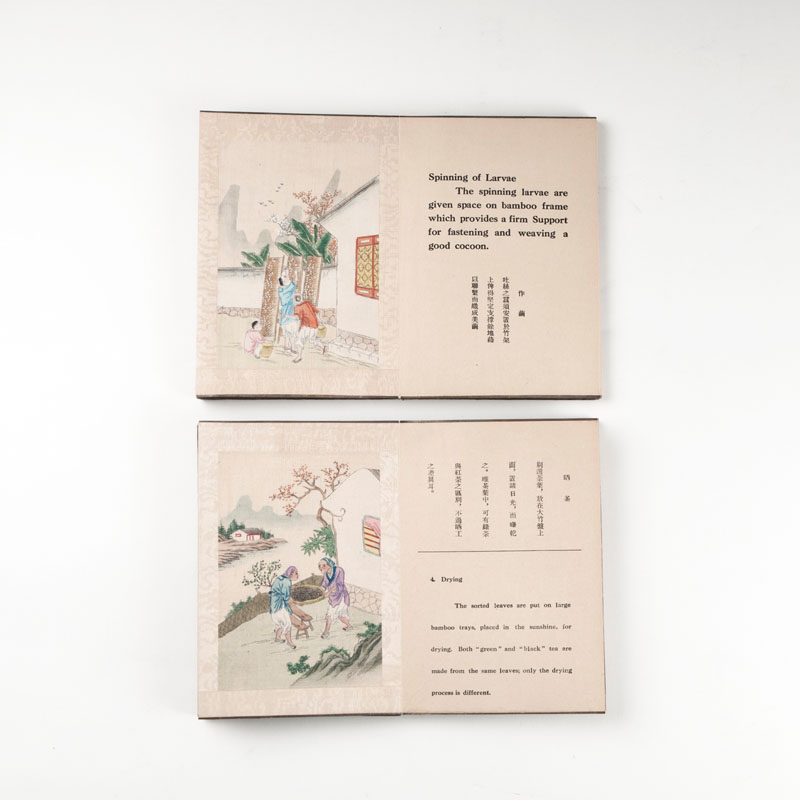 Paar chinesischer Leporellos mit Seidenmalerei - Bild 2