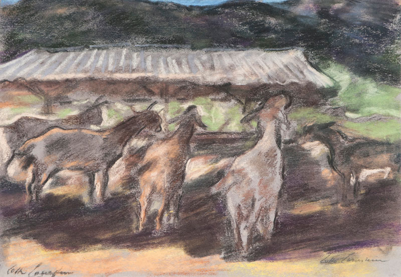 Goats at a Hayrack